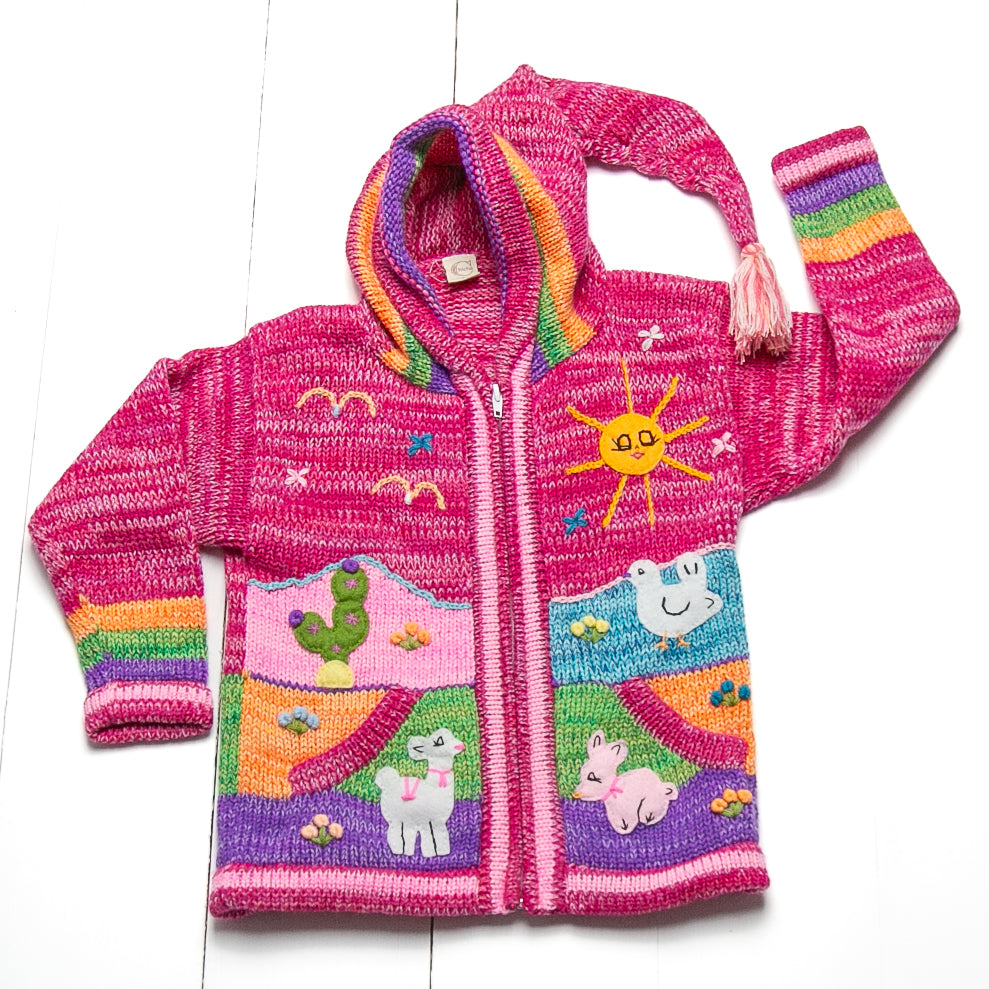 Artisan Peruvian Jumper | 3-4Y