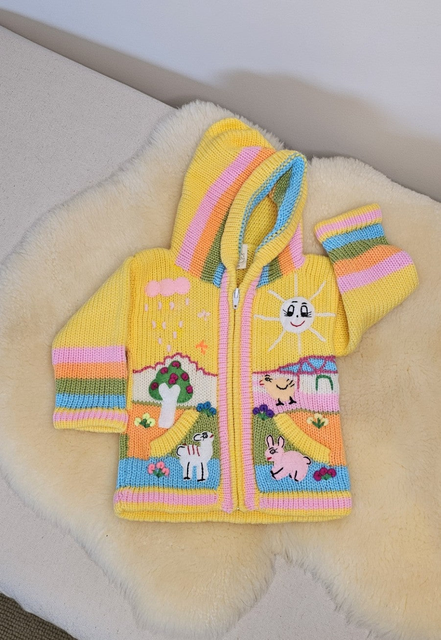 Artisan Peruvian Jumper | 0
