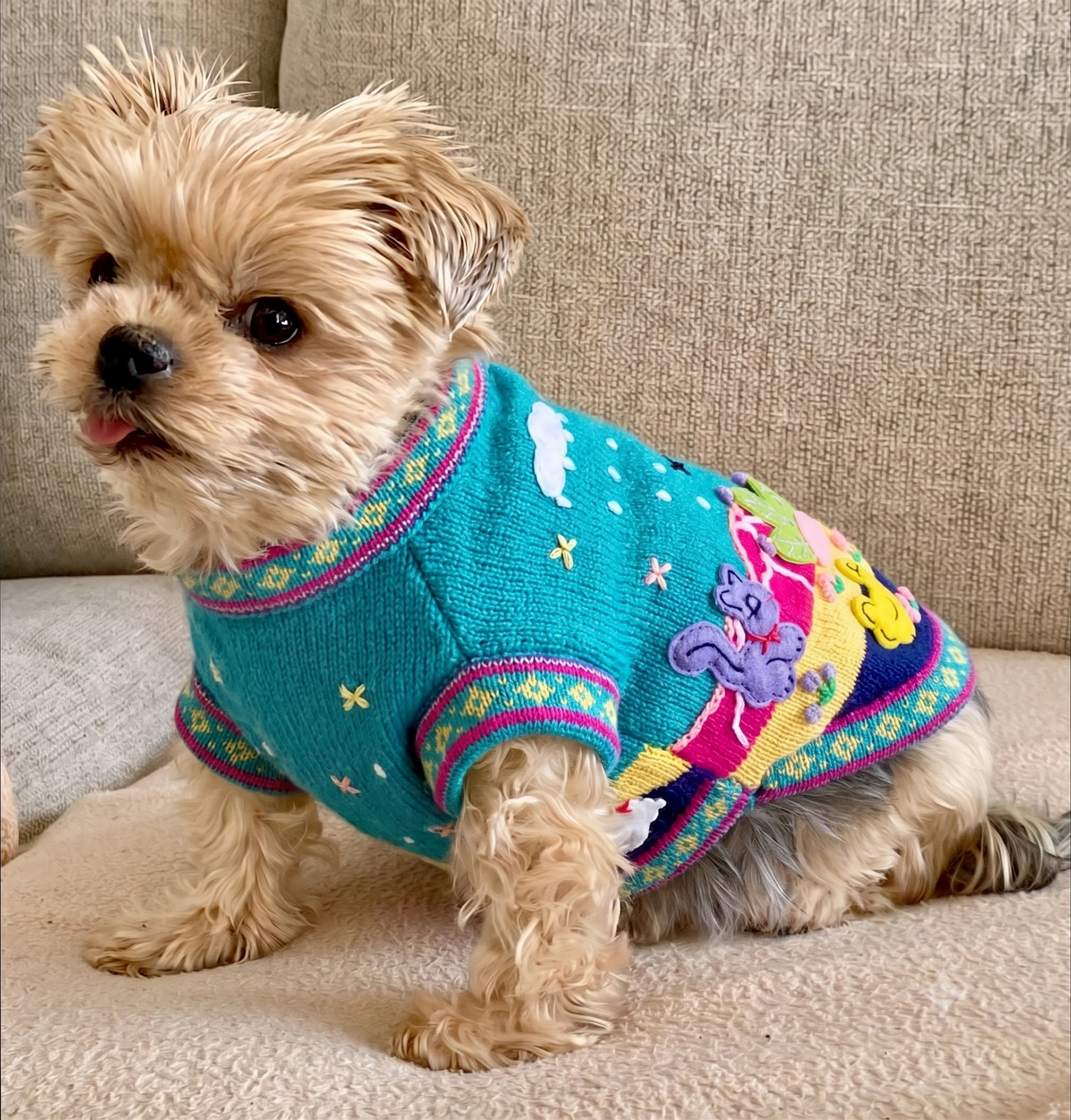 Chicha's Fur Baby Jumper | M