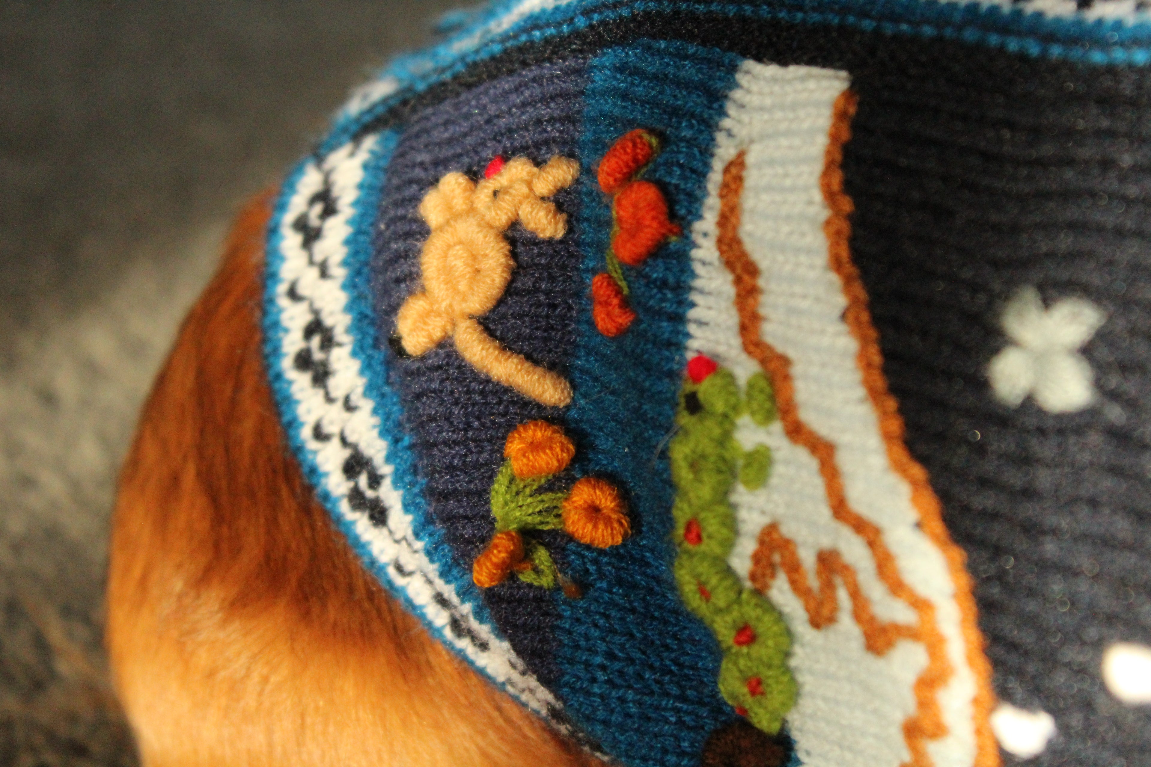 Chicha's Fur Baby Jumper | S